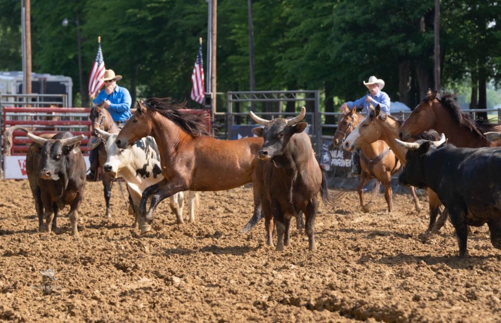 Entertainment - Crawford County Fair