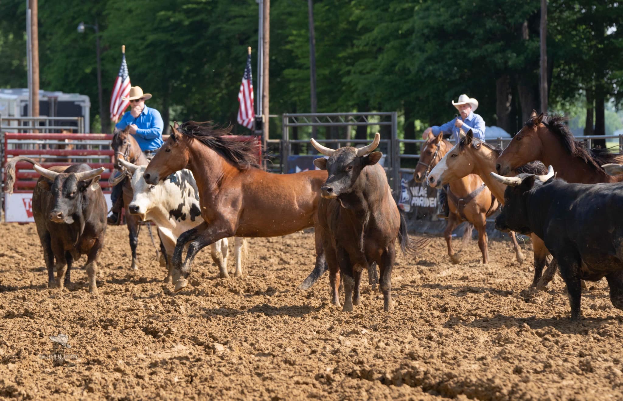 Entertainment Crawford County Fair
